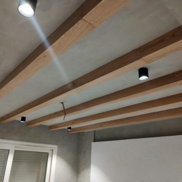 Walls - Sea Shell - North Coast